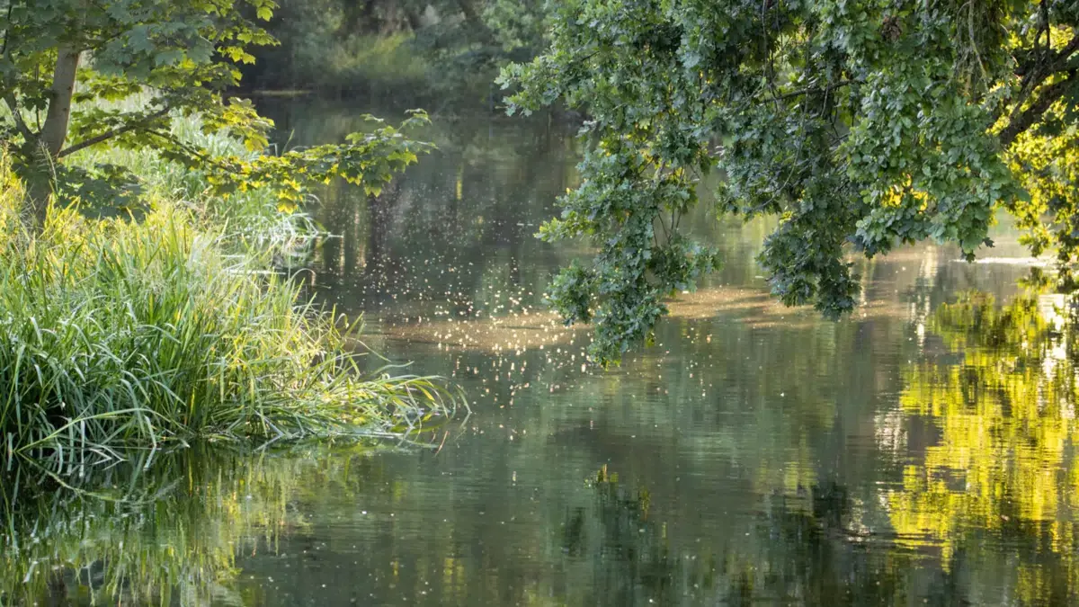 Canoe Trip in Kolindsund — Grenaa