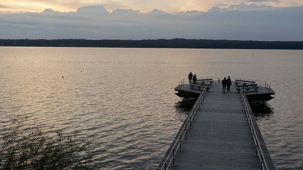 Flagermus ved Esrum Sø — Fredensborg