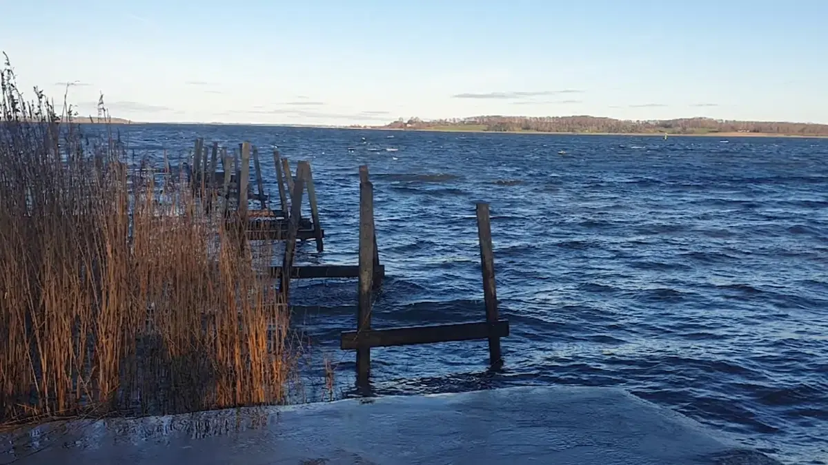 DN Roskilde's Annual Meeting 2026: Walk, Shared Meal and Drinking Water Lecture — Roskilde Roklubs lokaler, Roskilde