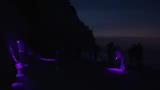 Night in Nature 2026
