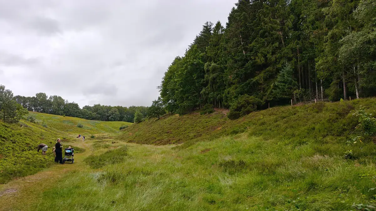 Vandretur i Legind Bjerge — Nykøbing M