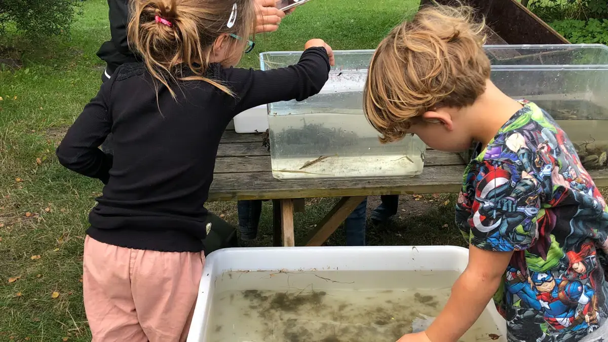 Naturens dag for hele familien — Svendborg Natur- og Miljøskole, Skårup Fyn