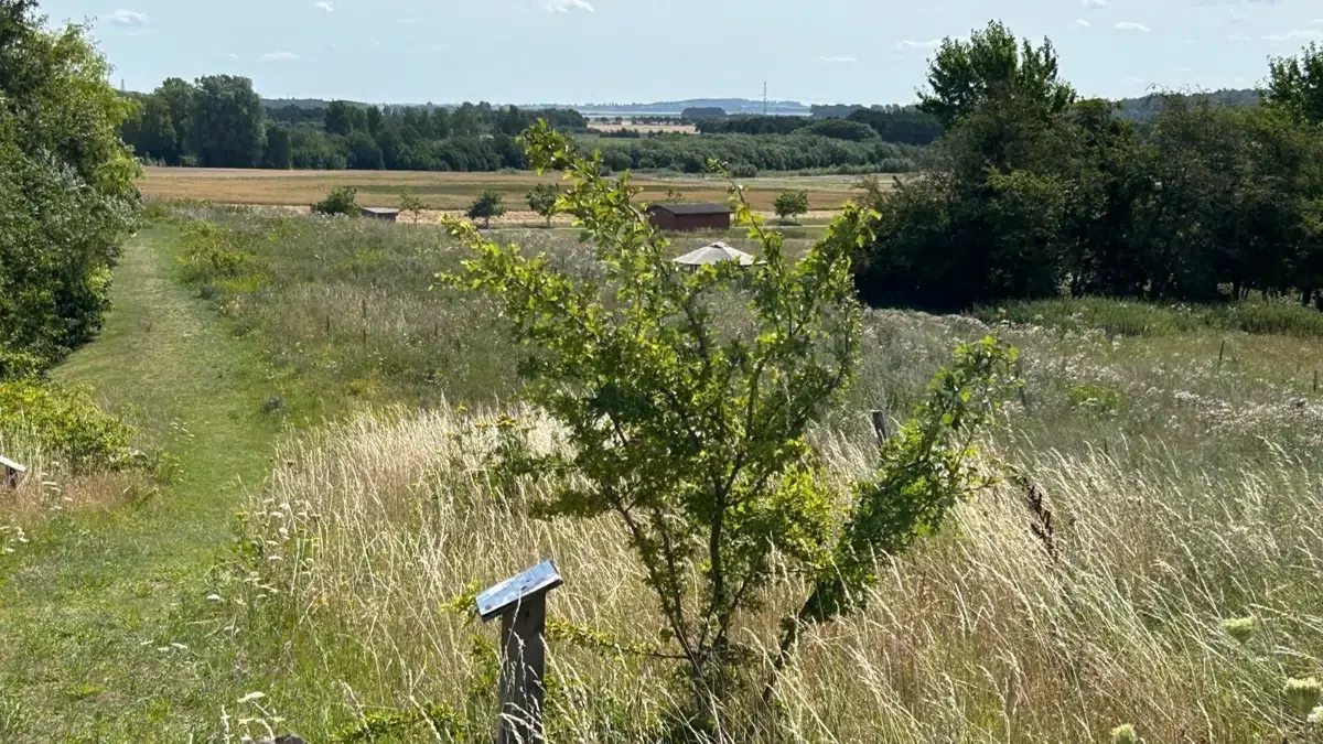 Kom med til bioblitz i NATURENS PUSTERUM — Vig