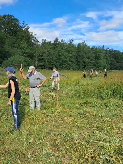 Naturpleje i Kratluskerengen — Odense
