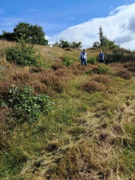 Naturpleje på Dyred Banke — Blommenslyst