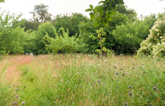 Naturens uge - Naturbingo i Søndermarken — Frederiksberg