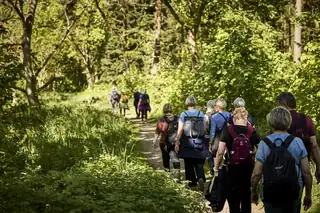 In den Fußstapfen der Literatur - Naturwanderungen mit Geschichten