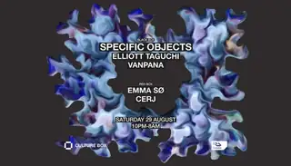 Specific Objects / Elliott Taguchi / vanpana / Emma Sø / CERJ