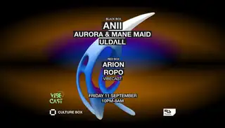 ANII / Aurora & Mane Maid / ULDΛLL / Vibecast: AriOn / ROPO