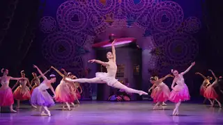 The Nutcracker