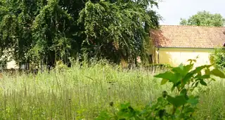 Naturpoesi i museumshaven