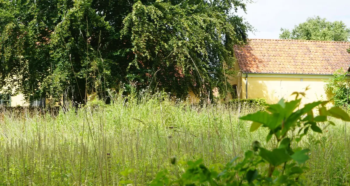 Naturpoesi i museumshaven — Hørsholm Egns Museum, Hørsholm