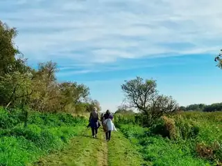 Denkpausen & Wandertouren
