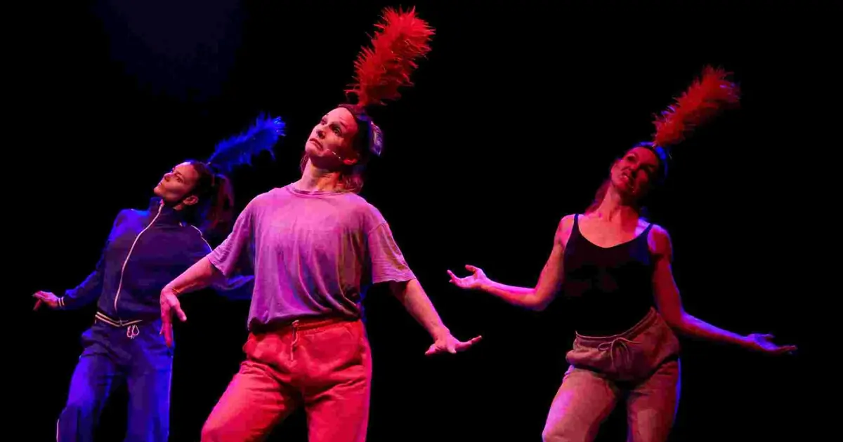 Show Pony — Dynamo - Workspace for circus and performing art, Odense