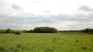 Tag med To på tur - Nordre Fælled, Soldier Stories and Badesøen (Tour 3)