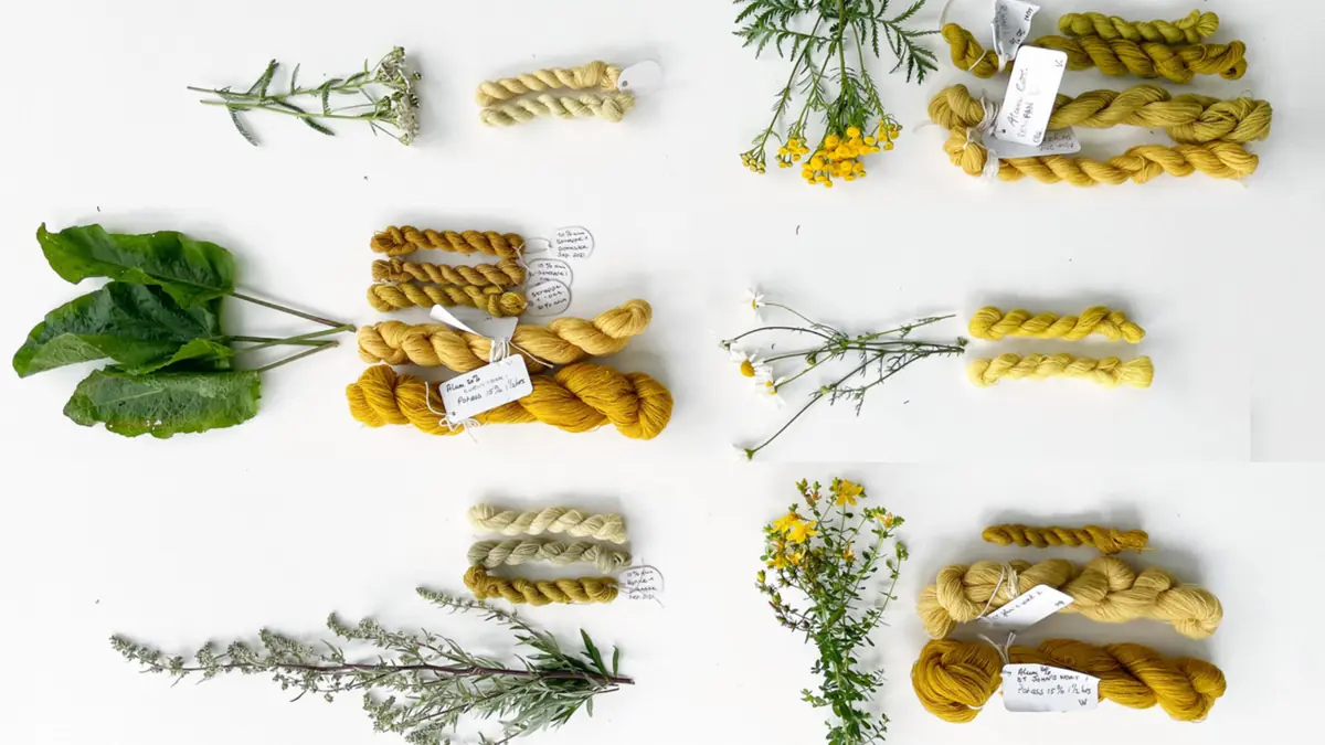 Plantefarvning & Biodiversitet — FabLab Spinderihallerne, Vejle