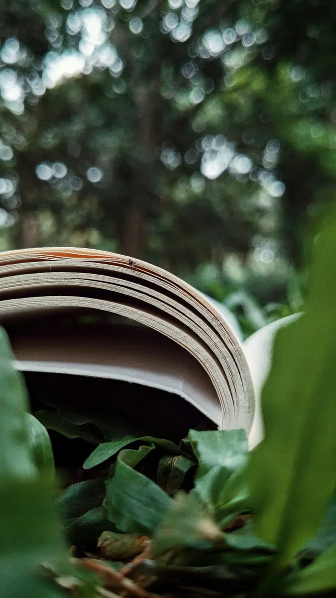 Sustainable Book Club — Kolding Bibliotek, Kolding