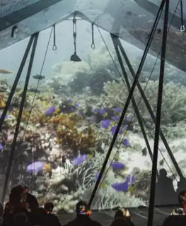Fish After Dark