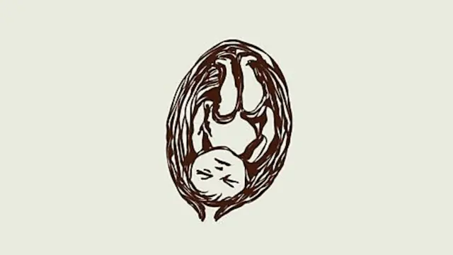 Singing Circle for Pregnant Women — Islands Brygge Bibliotek, Copenhagen