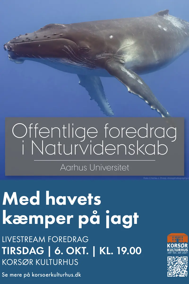 Livestream - Hunting with the Ocean's Giants — Korsør Kulturhus, Korsør