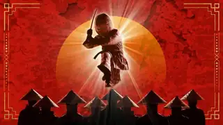 Ternet Ninja