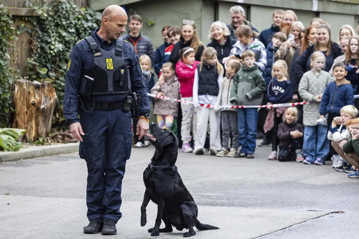 Efterårsferie på Politimuseet 2026 — Politimuseet, København