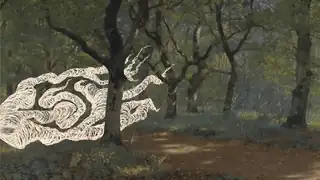 Forest Walk: Stories of Plants and the Magic of Nature