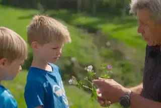 Filmvisning og samtale: ILDEN, VANDET, JORDEN, LUFTEN