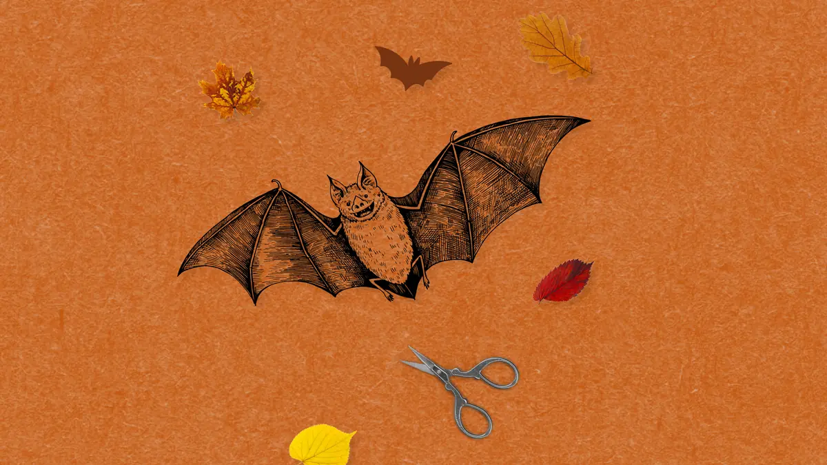Craft with Bats — Køge Bibliotek, Køge