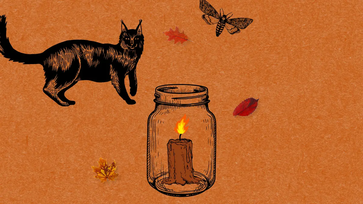 Make a Bewitched Lantern — Køge Bibliotek, Køge
