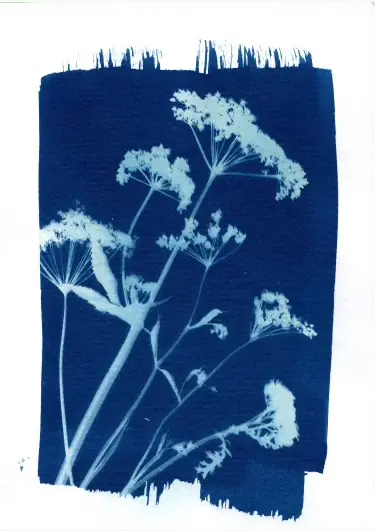 Blåtryk — Håndværkeriet, Haderslev