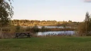 Natur treffen im Døllefjælde-Musse Naturpark