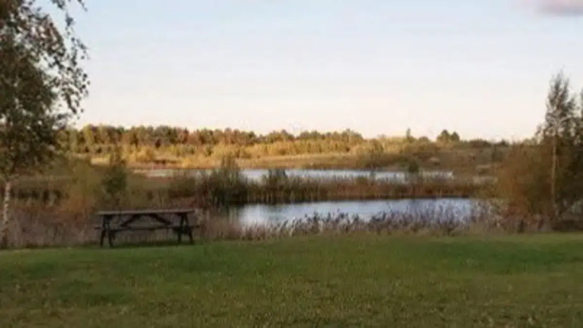 Mød Naturen i Døllefjælde-Musse Naturpark — Døllefjælde-Musse Naturpark, bålhytten på Pilestrædet, Nysted
