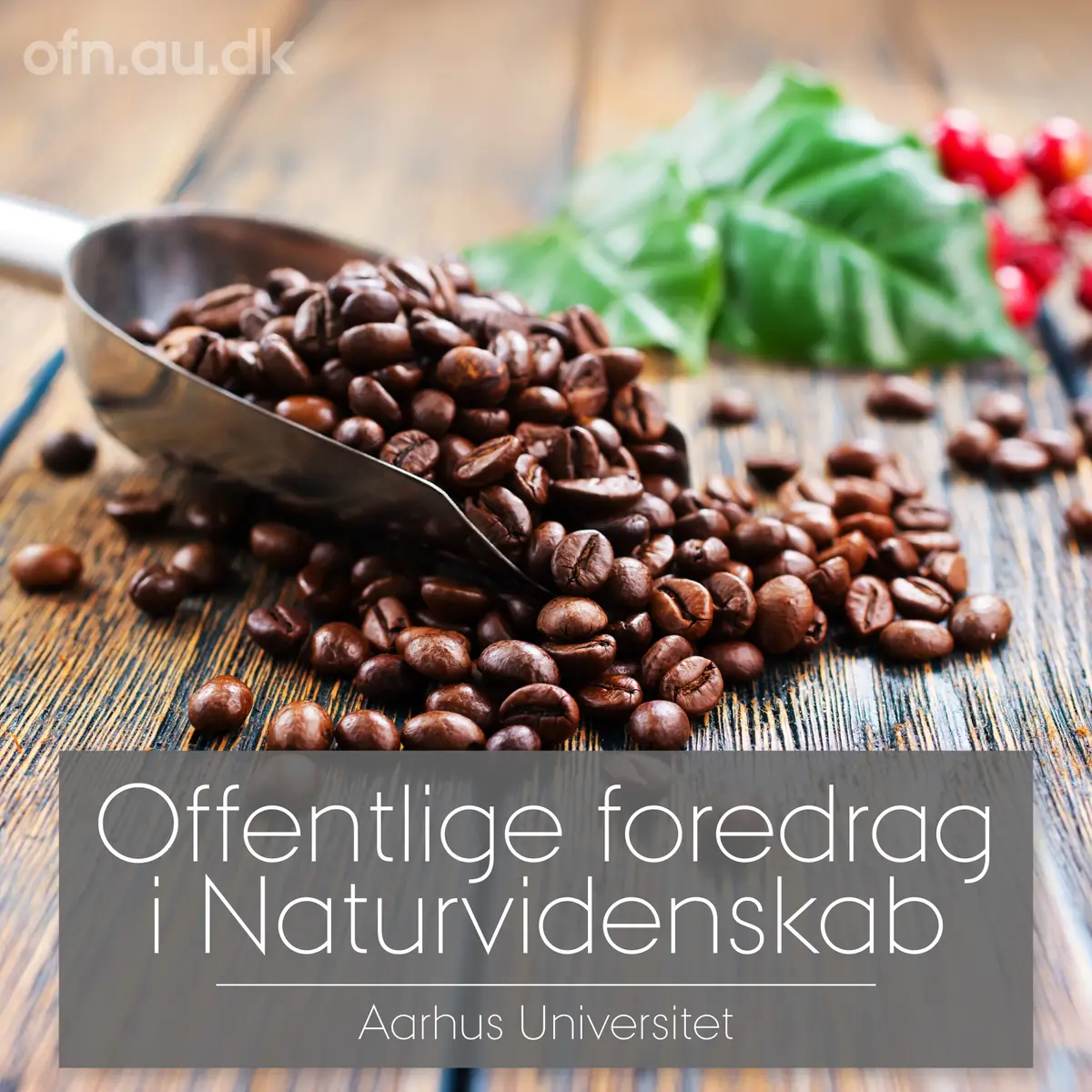 Kaffe — Billund Bibliotek, Billund