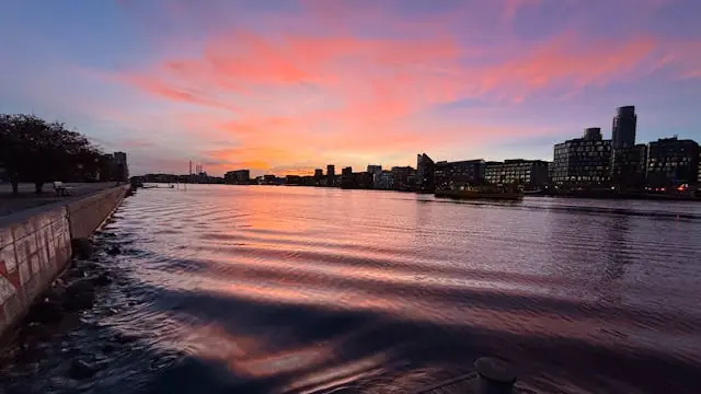 Nat i Naturen på Bryggen — Islands Brygge Bibliotek, København