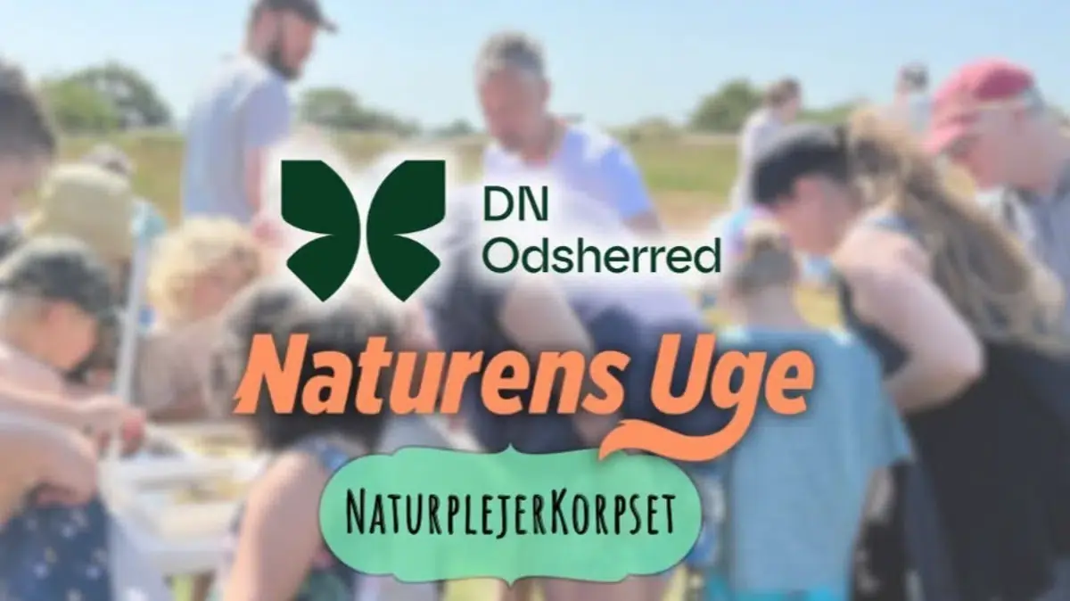 Pjask og Snask ved Sanddobberne — Sanddobberne Camping, Hørve