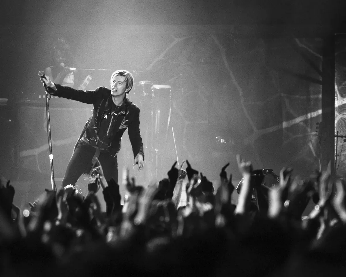 10 år senere - stemmerne lever videre: David Bowie — Fredensborg Bibliotek, Fredensborg