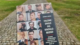 FOREDRAG FALDNE ENGLE OG KNOGLEMÆND