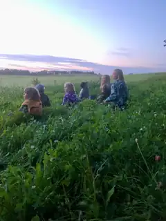Flagermusenes forunderlige verden
