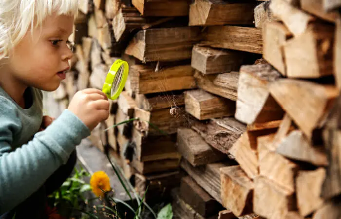 Nattens Vilde Natur — Undervisningslokalet på Naturskolen, Maribo