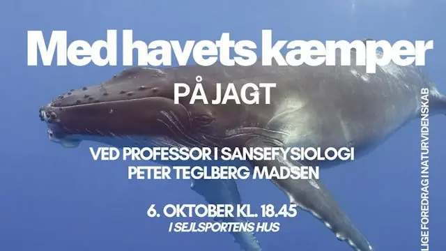 Med havets kæmper på jagt - Offentlige foredrag i naturvidenskab — Sejlsportens Hus, Hals