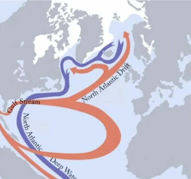 Is the Gulf Stream Shutting Down - Will Denmark's Climate Become Like Alaska's? — Helsingør Folkeuniversitet, Helsingør