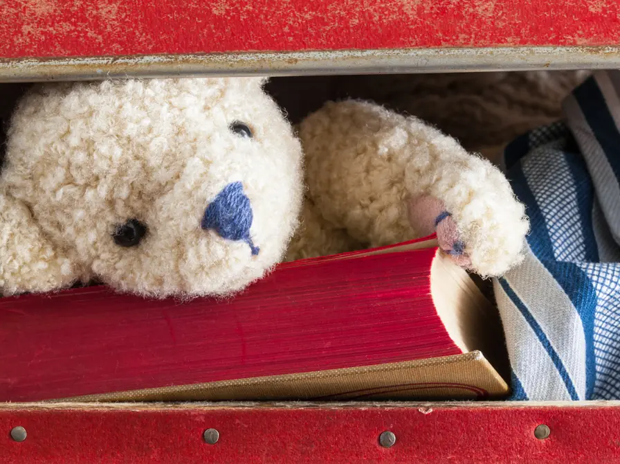 Bamseovernatning — Biblioteket i Herning, Herning