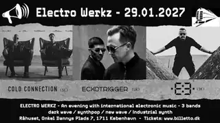 Electro Werkz
