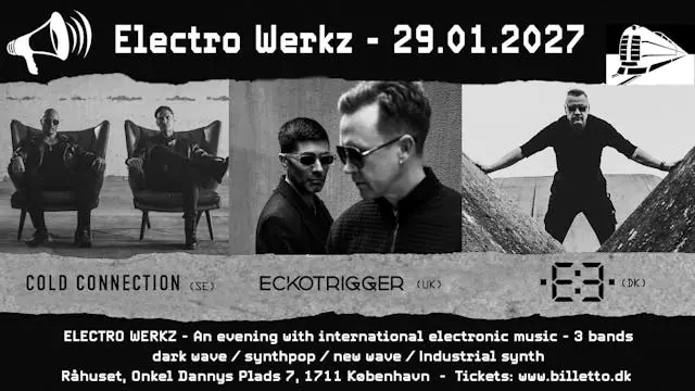 Electro Werkz — Råhuset, København