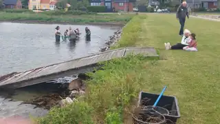 Arrangement for børn ved stranden i Hou