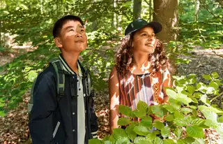 Explore the Arboretum