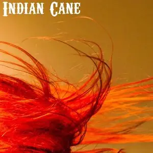 Indian Cane — Café von Hatten, Randers