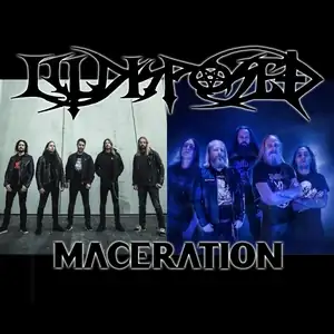 Illdisposed