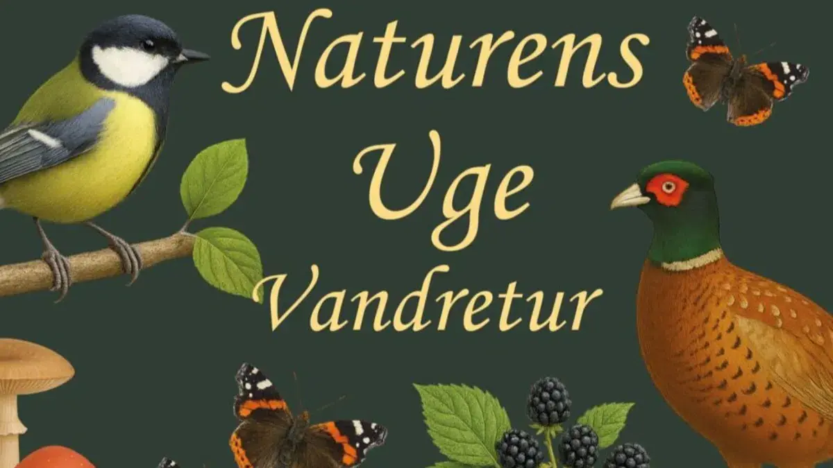 Søholt Storskov – Mellem kulturhistorie og naturudvikling — Hejrede Pumpehus, Øster Ulslev